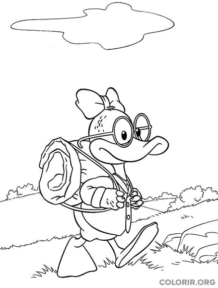 Dannan o Mallard indo Acampar