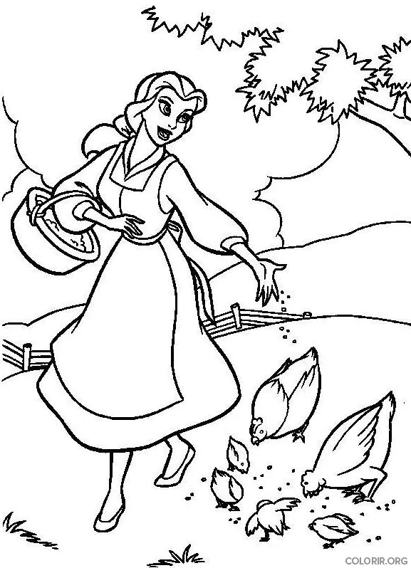 Bela Alimentando Aves