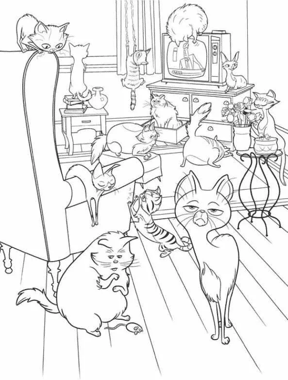 Gatos em Pets o Filme