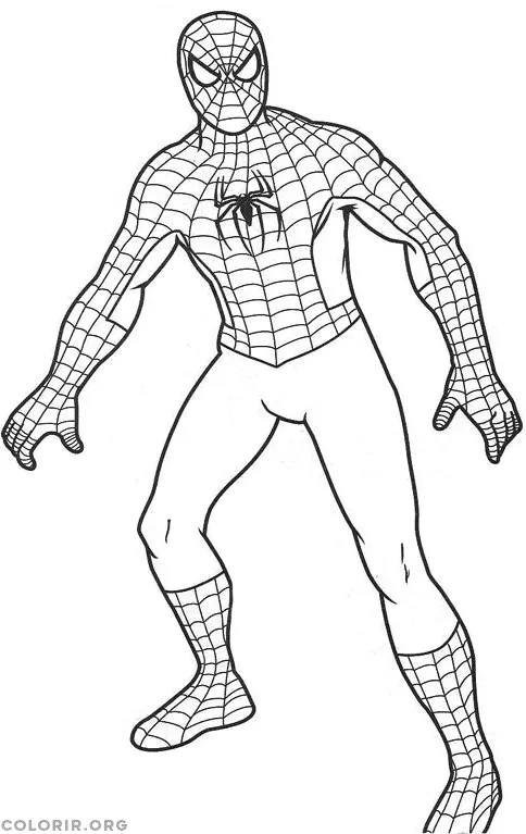 Homem Aranha colorir 02