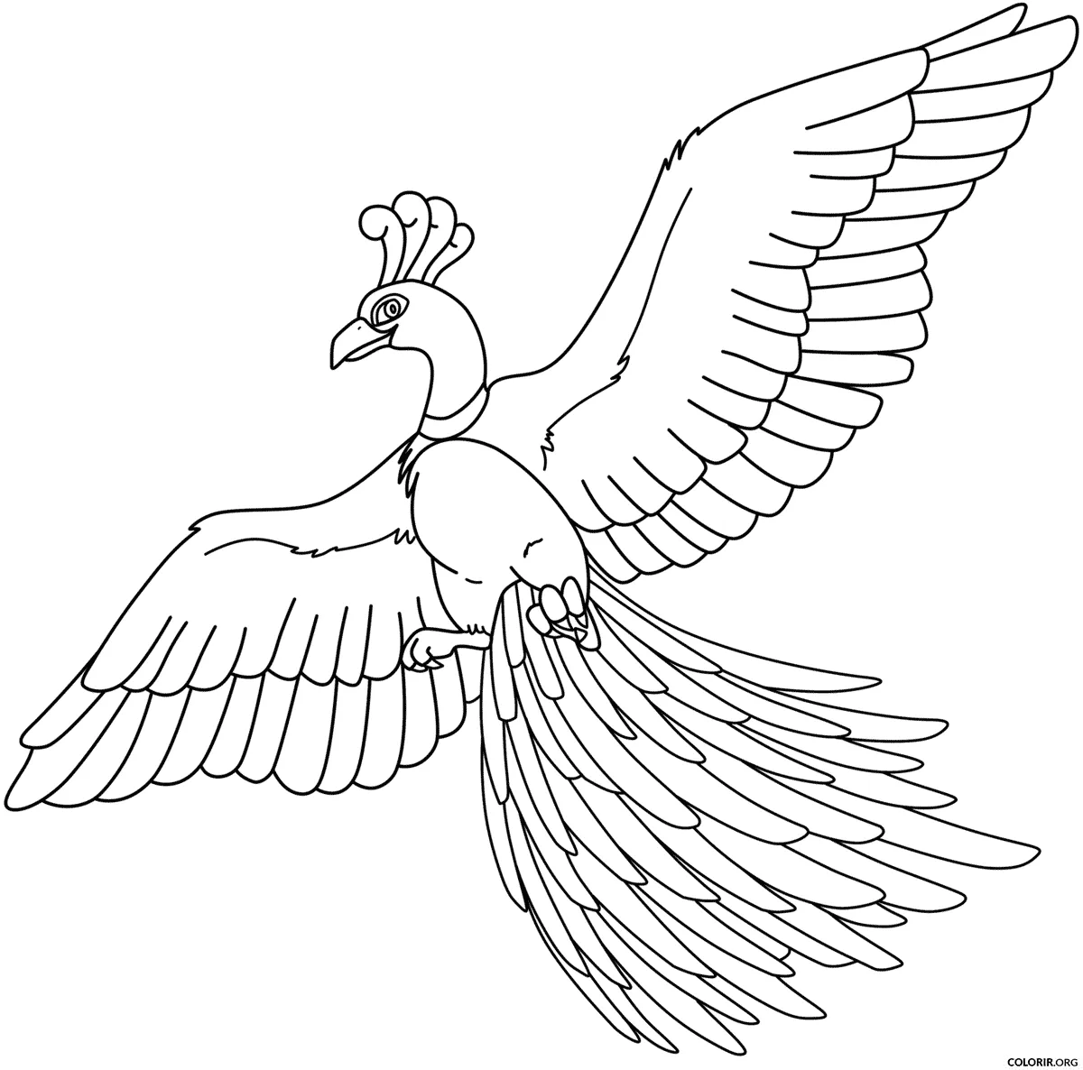 Pokemon para colorir 7