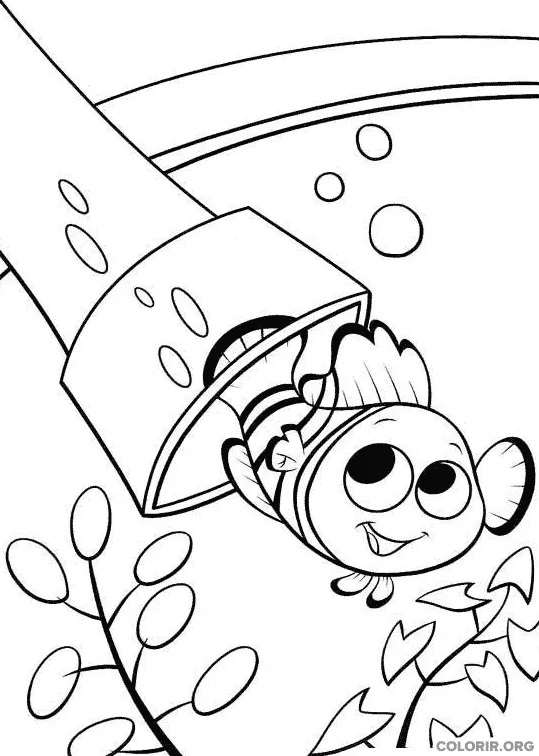Procurando Nemo para colorir 24