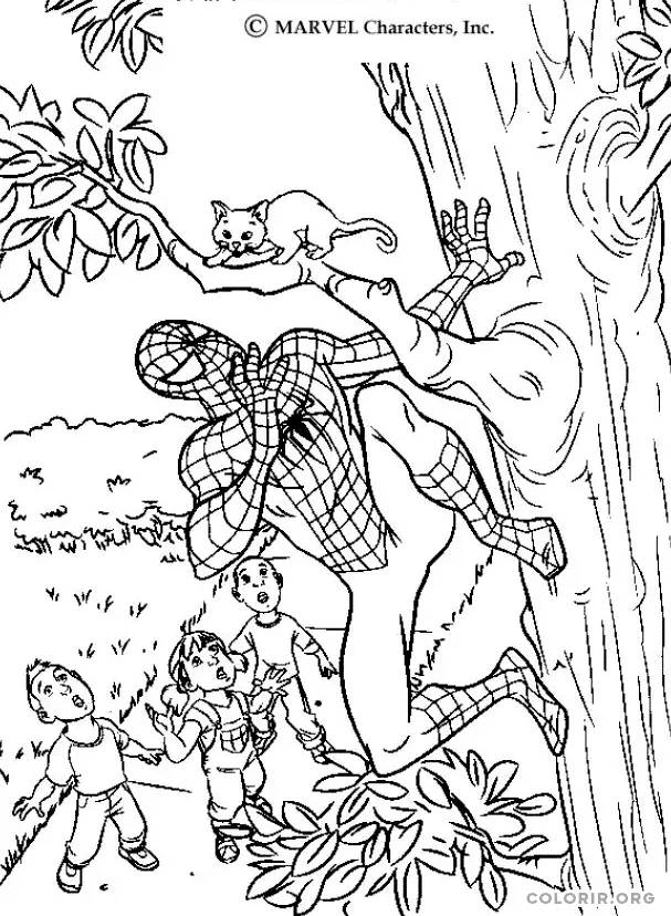 Homem Aranha salvando Gatinho em Arvore
